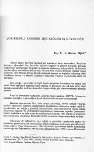 Turan Güneş'e Armağan Kitabından Çok Bilimli Eksende işçi Sağlığı İş Güvenliği 1